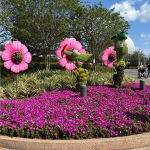 Meet your Posher, Yolanda